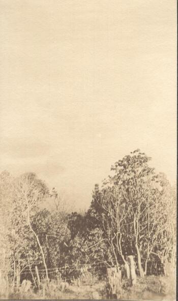 Fotograf: unbekannt, Copyright: 1