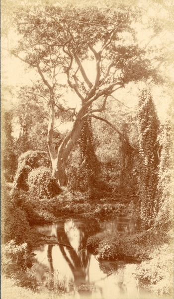 Fotograf: unbekannt, Copyright: 1