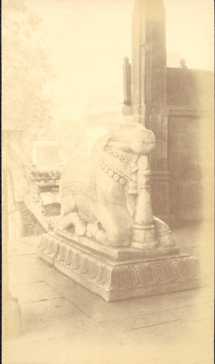 Fotograf: unbekannt, Copyright: 1