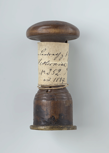 Fotograf: Ahlbrand-Dornseif, Sabine, Copyright: 1